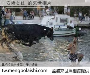 安堵とは 來世的未來相片