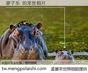 廖子乐 來世的未來相片