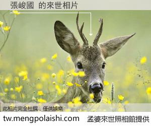 張峻國 來世的未來相片