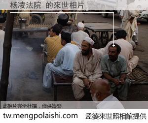 杨凌法院 來世的未來相片