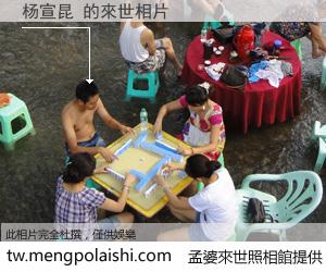 杨宣昆 來世的未來相片