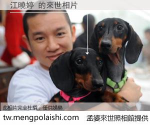 江曉婷 來世的未來相片