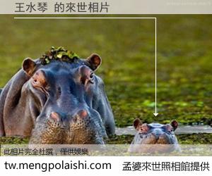 王水琴 來世的未來相片