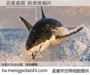 百度底图 來世的未來相片