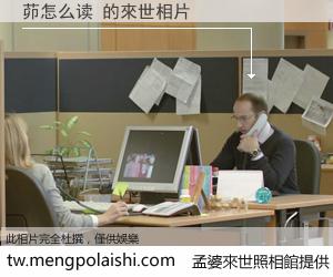 茆怎么读 來世的未來相片