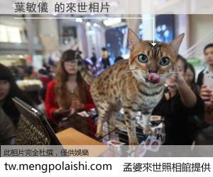 葉敏儀 來世的未來相片