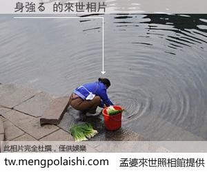 身強る 來世的未來相片