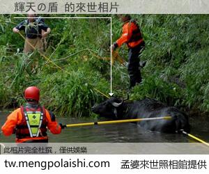 輝天の盾 來世的未來相片