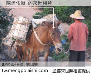 陳孟依璇 來世的未來相片
