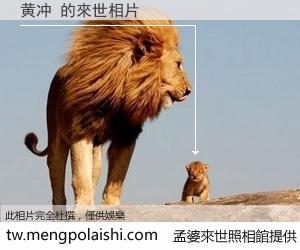 黄冲 來世的未來相片