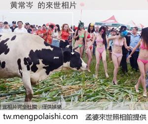 黄常岑 來世的未來相片