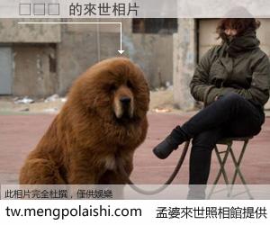미밋치 來世的未來相片