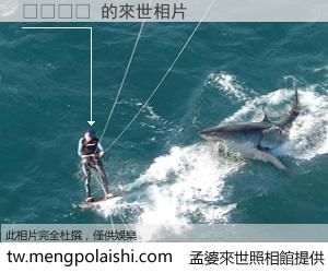 레고영역 來世的未來相片