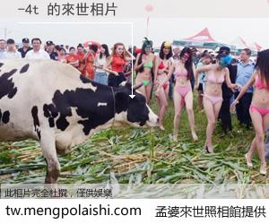 -4t 來世的未來相片