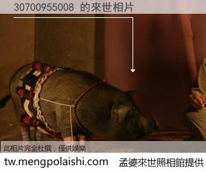 30700955008 來世的未來相片