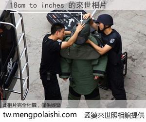 18cm to inches 來世的未來相片