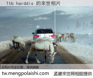 1tb harddis 來世的未來相片