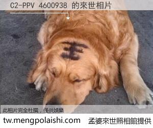 C2-PPV 4600938 來世的未來相片