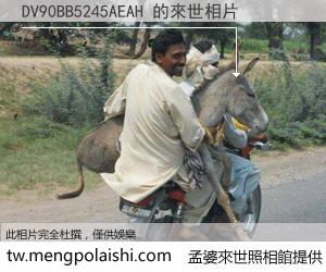 DV90BB5245AEAH 來世的未來相片