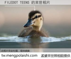 FILEDOT TEENS 來世的未來相片