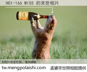 HOI-166 MISS 來世的未來相片