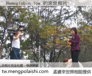 Hemoglobin low 來世的未來相片