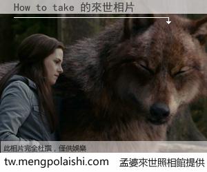 How to take 來世的未來相片