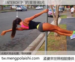 INTERCHIP 來世的未來相片