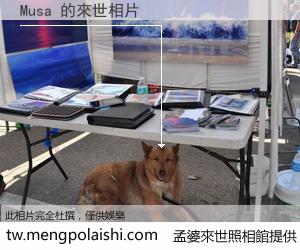 Musa 來世的未來相片