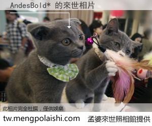 AndesBold* 來世的未來相片