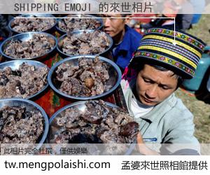 SHIPPING EMOJI 來世的未來相片