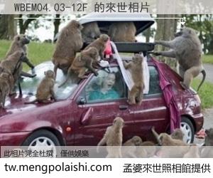 WBEM04.03-12F 來世的未來相片