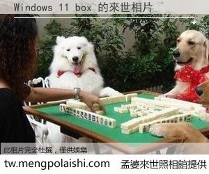 Windows 11 box 來世的未來相片