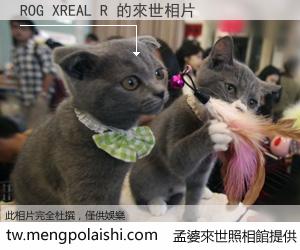 ROG XREAL R 來世的未來相片