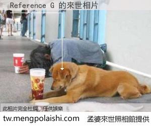 Reference G 來世的未來相片