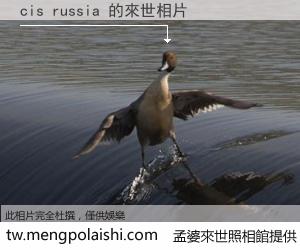 cis russia 來世的未來相片