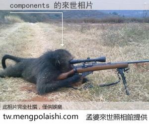 components 來世的未來相片