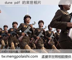 dune pdf 來世的未來相片