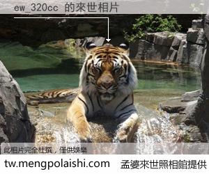 ew_320cc 來世的未來相片