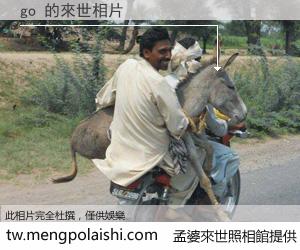 go 來世的未來相片