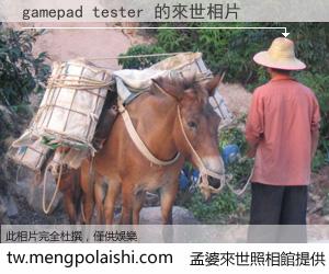 gamepad tester 來世的未來相片