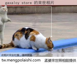 gaxalcy store 來世的未來相片