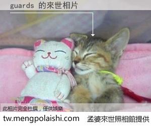 guards 來世的未來相片