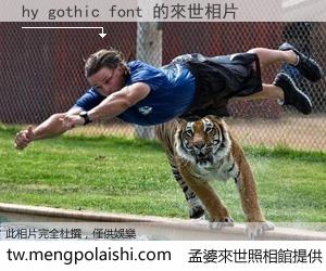 hy gothic font 來世的未來相片