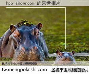 hpp showroom 來世的未來相片