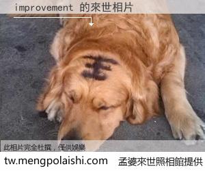 improvement 來世的未來相片