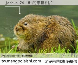 joshua 24 15 來世的未來相片