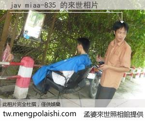 jav miaa-835 來世的未來相片