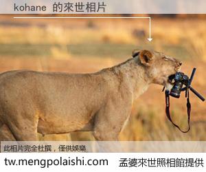 kohane 來世的未來相片