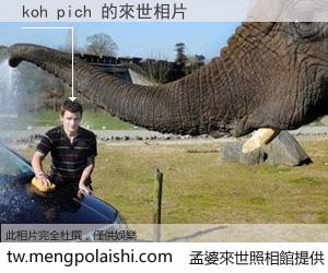 koh pich 來世的未來相片